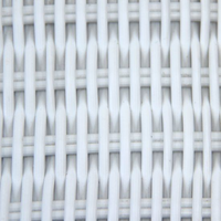Synthetic Ice White Rattan