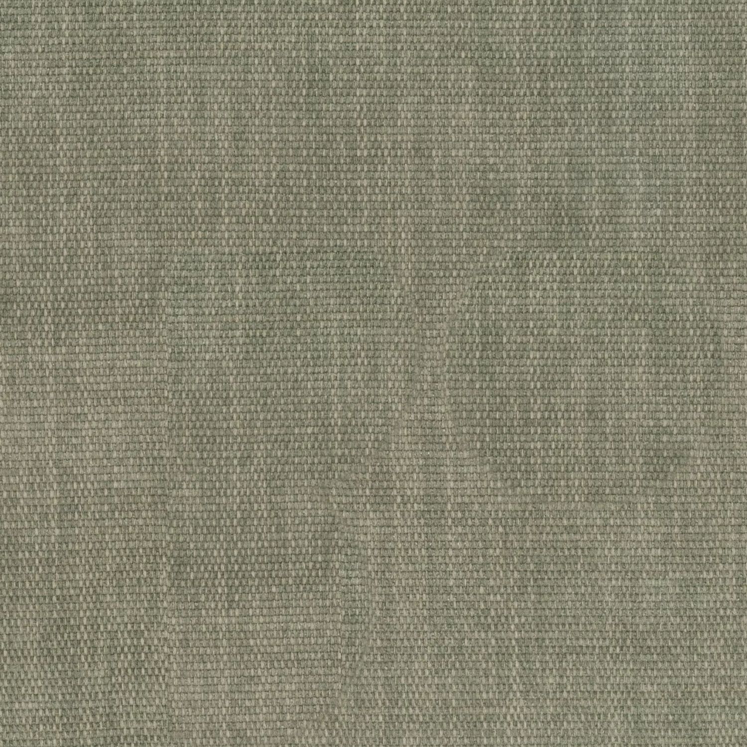 Warwick Copeland Eucalyptus