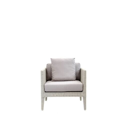 Inesula Lounge Chair
