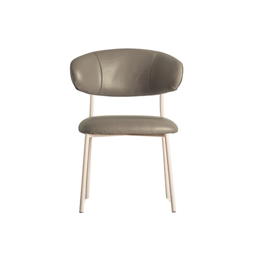 Olive Dining Chair - Taupe 