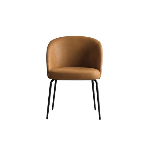 Ivy Armchair - Tan VL