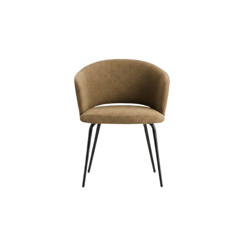 Wren Armchair - Fennel