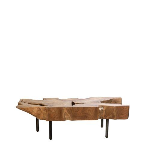 Lucas Root Coffee Table